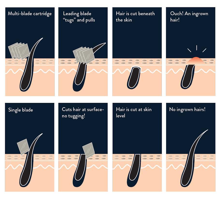 Rockwell Razor 6S - Imagen 6